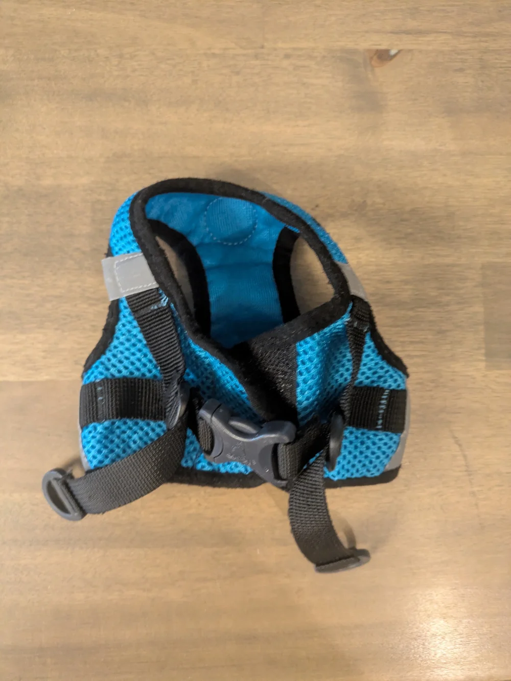 Blue Small Pet Harness with Quick-Release Buckle